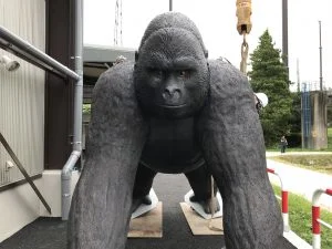 製作事例